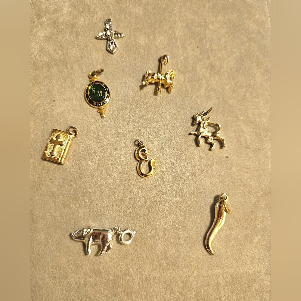 Assorted Charms Featuring Various Designs - image 1